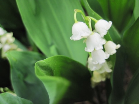 2012-05-01_12-02-13