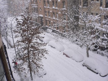 blizzard
