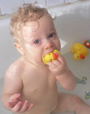 canard
