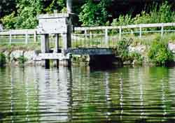 etang de tyx
