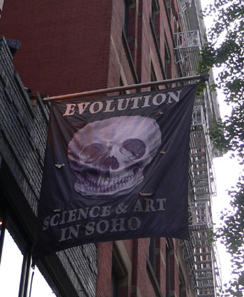 soho5.jpg